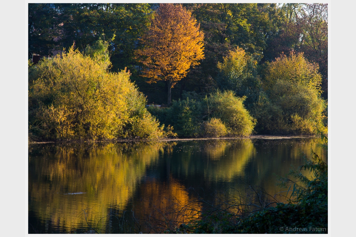 Herbstlicher See mit Spiegelung